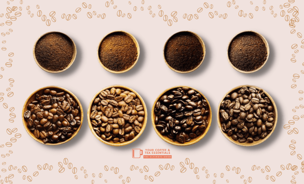 Types of Coffee Beans - A Quick Beginner's Guide