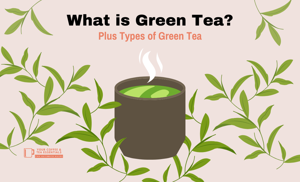 What is Green Tea & Types of Green Tea
