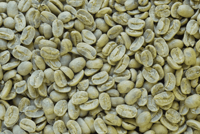 Washed Coffee Beans